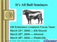 Its All Bull Seminars
