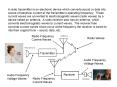 Wireless Communications
