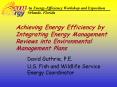 Achieving Energy Efficiency by Integrating Energy Management Reviews into Environmental Management P