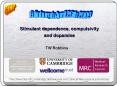 Stimulant dependence, compulsivity and dopamine