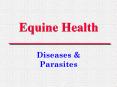 Equine Health