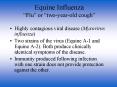 Equine Influenza Flu or twoyearold cough