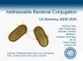 Addressable Bacterial Conjugation