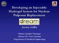 Developing an Injectable Hydrogel System for Nucleus Pulposus Replacement