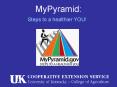 MyPyramid: