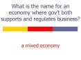 What is the name for an economy where govt both supports and regulates business