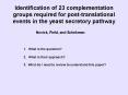 Identification of 23 complementation groups required for posttranslational events in the yeast secre