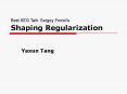 Shaping Regularization