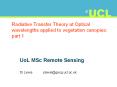 Radiative Transfer Theory at Optical wavelengths applied to vegetation canopies: part 1