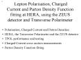 Lepton Polarisation, Charged Current and Parton Density Function fitting at HERA, using the ZEUS det