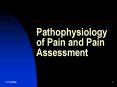 Pathophysiology of Pain and Pain Assessment