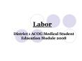 Labor