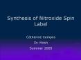 Synthesis of Nitroxide Spin Label