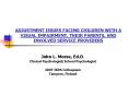 ADJUSTMENT ISSUES FACING CHILDREN WITH A VISUAL IMPAIRMENT, THEIR PARENTS, AND INVOLVED SERVICE PROV