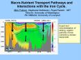 MacroNutrient Transport Pathways and Interactions with the Iron Cycle'