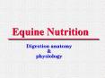 Equine Nutrition