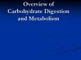 Overview of Carbohydrate Digestion and Metabolism
