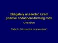 Obligately anaerobic Gram positive endosporeforming rods