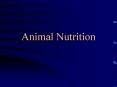 Animal Nutrition