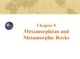 Chapter 8 Metamorphism and Metamorphic Rocks
