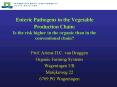 Enteric Pathogens in the Vegetable Production Chain: Is the risk higher in the organic than in the c