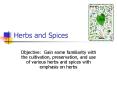 Herbs and Spices