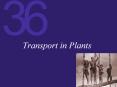 Transport in Plants