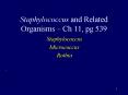 Staphylococcus and Related Organisms Ch 11, pg 539