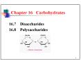Chapter 16 Carbohydrates