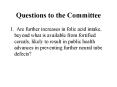Questions to the Committee