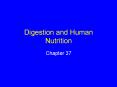 Digestion and Human Nutrition