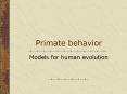 Primate behavior