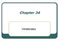 Vertebrates