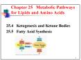 25'4 Ketogenesis and Ketone Bodies