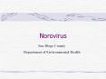 Norovirus