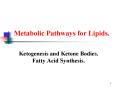 Metabolic Pathways for Lipids'