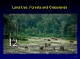 Land Use: Forests and Grasslands
