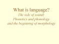 What is language The side of sound: Phonetics and phonology and the beginning of morphology
