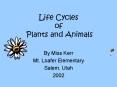 Life Cycles of Plants and Animals