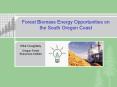 Oregons Forest Cluster Economic Initiatives