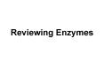 Reviewing Enzymes