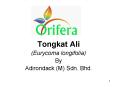 Tongkat Ali