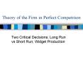 Theory of the Firm in Perfect Competition