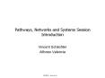 Pathways, Networks and Systems Session Introduction
