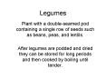 Legumes