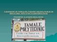 A SNAPSHORT OF TAMALE POLYTECHNIC:THE EVOLUTION OF AN EDUCATIONAL INSTITUTION IN NORTHERN GHANA PRES