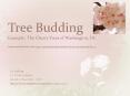 Tree Budding Example: The Cherry Trees of Washington, DC Images and information from http:nationalch