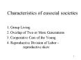 Characteristics of eusocial societies