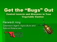 Get the Bugs Out Control Insects and Diseases in Your Vegetable Garden
