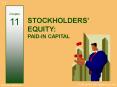 STOCKHOLDERS EQUITY: PAIDIN CAPITAL